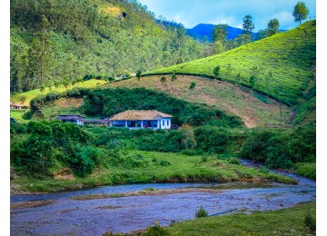 Munnar Camping - Kerala Packages